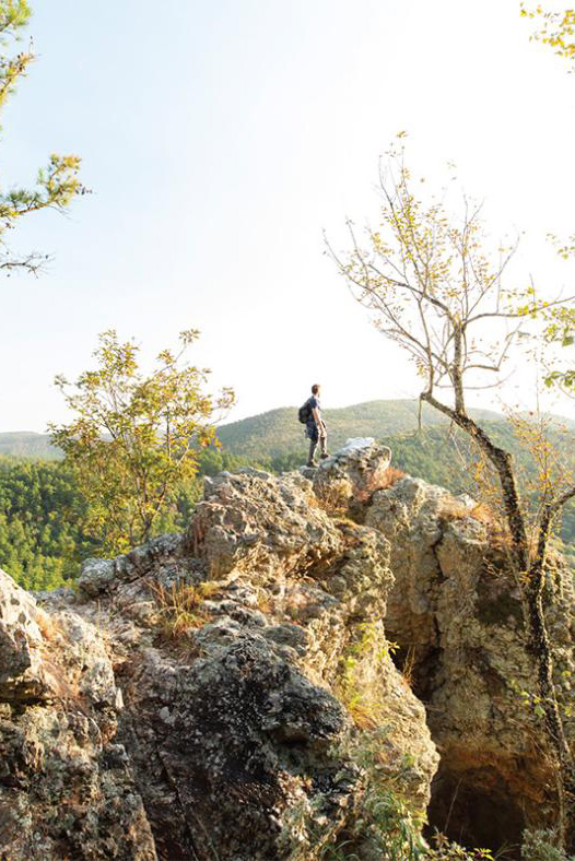 A man looking over a ledge at trees and natural terrain.